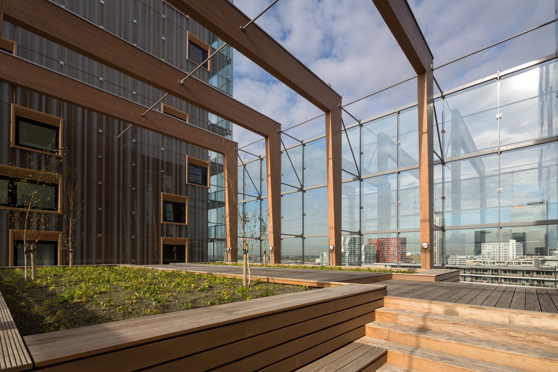 Saviour or Parasite?