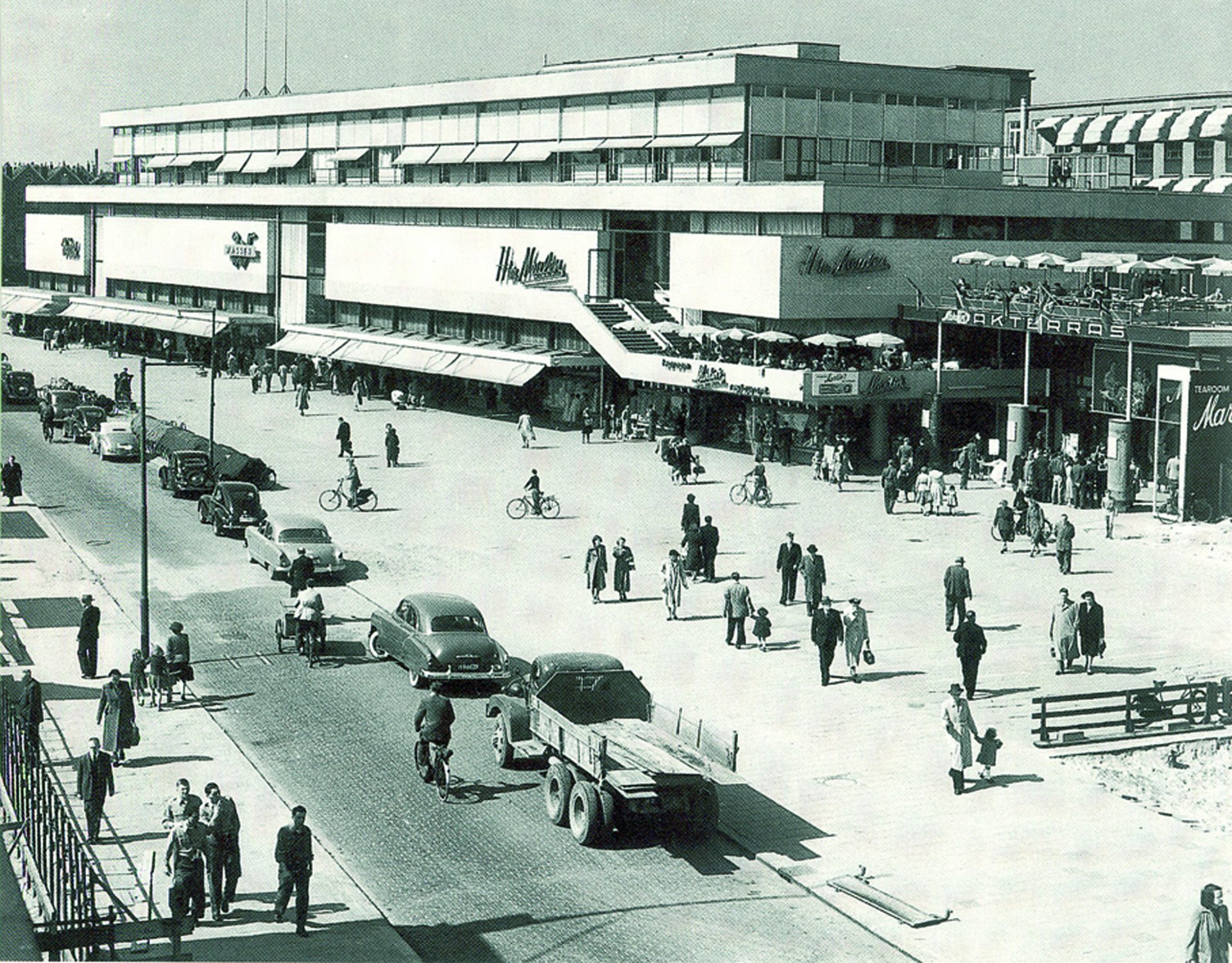 Saviour or Parasite?