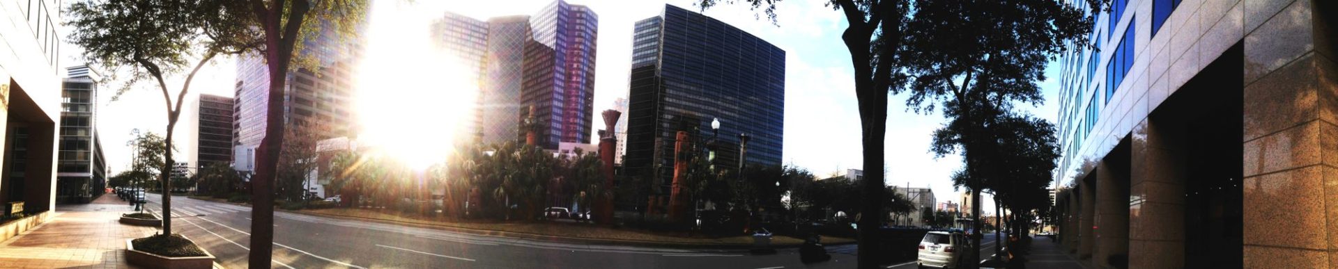 Peaux-Meaux: The Postmodern in New Orleans