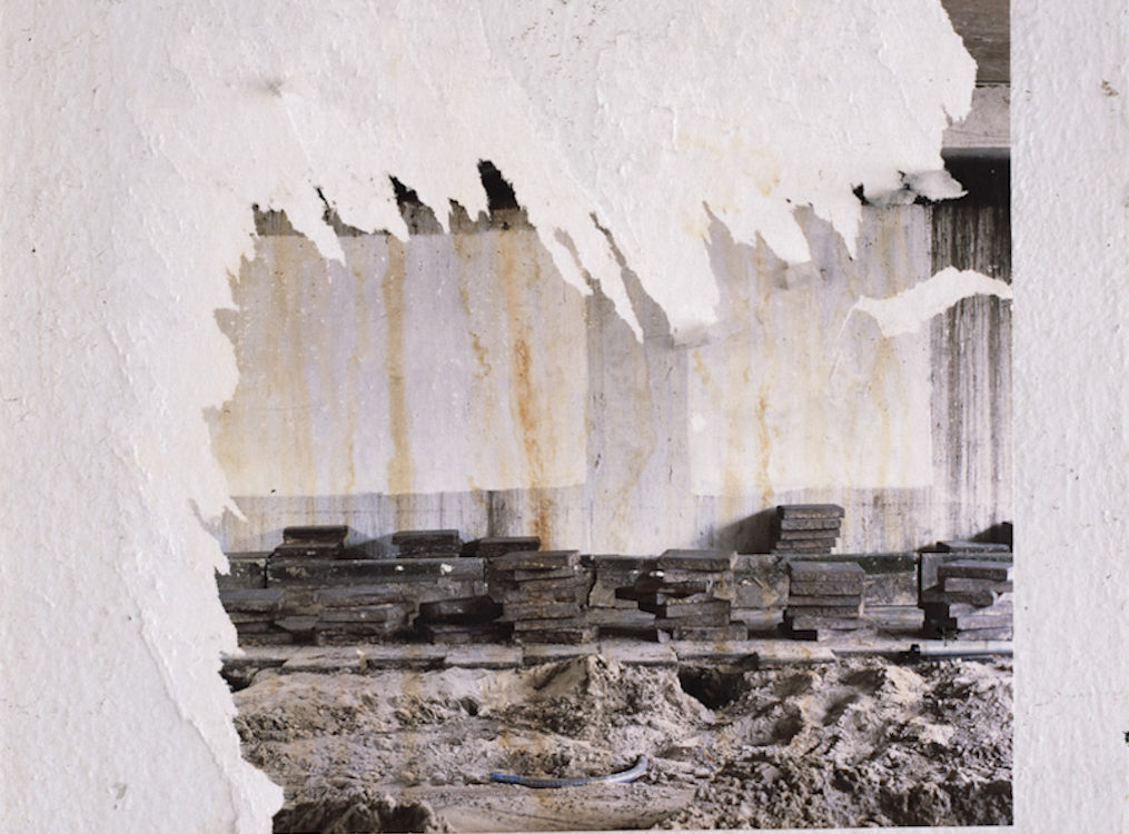 Filth: Capturing Concrete Ecologies