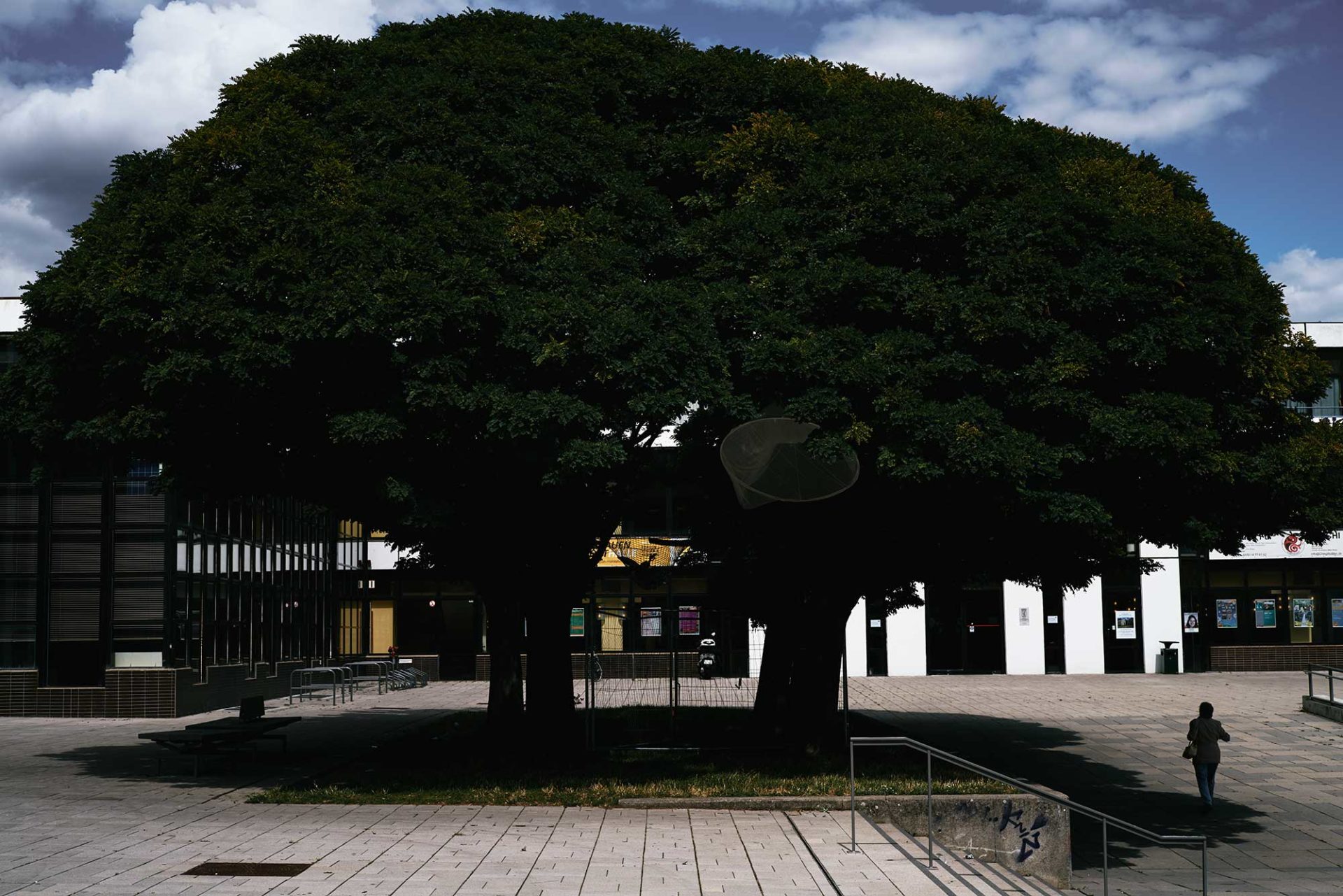 Berlin Marzahn: Social Housing with Marquis Hawkes