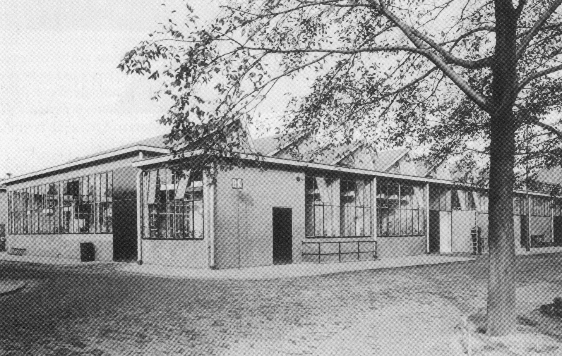 Lost Forever: Amsterdam’s Shell Terrain Transformed