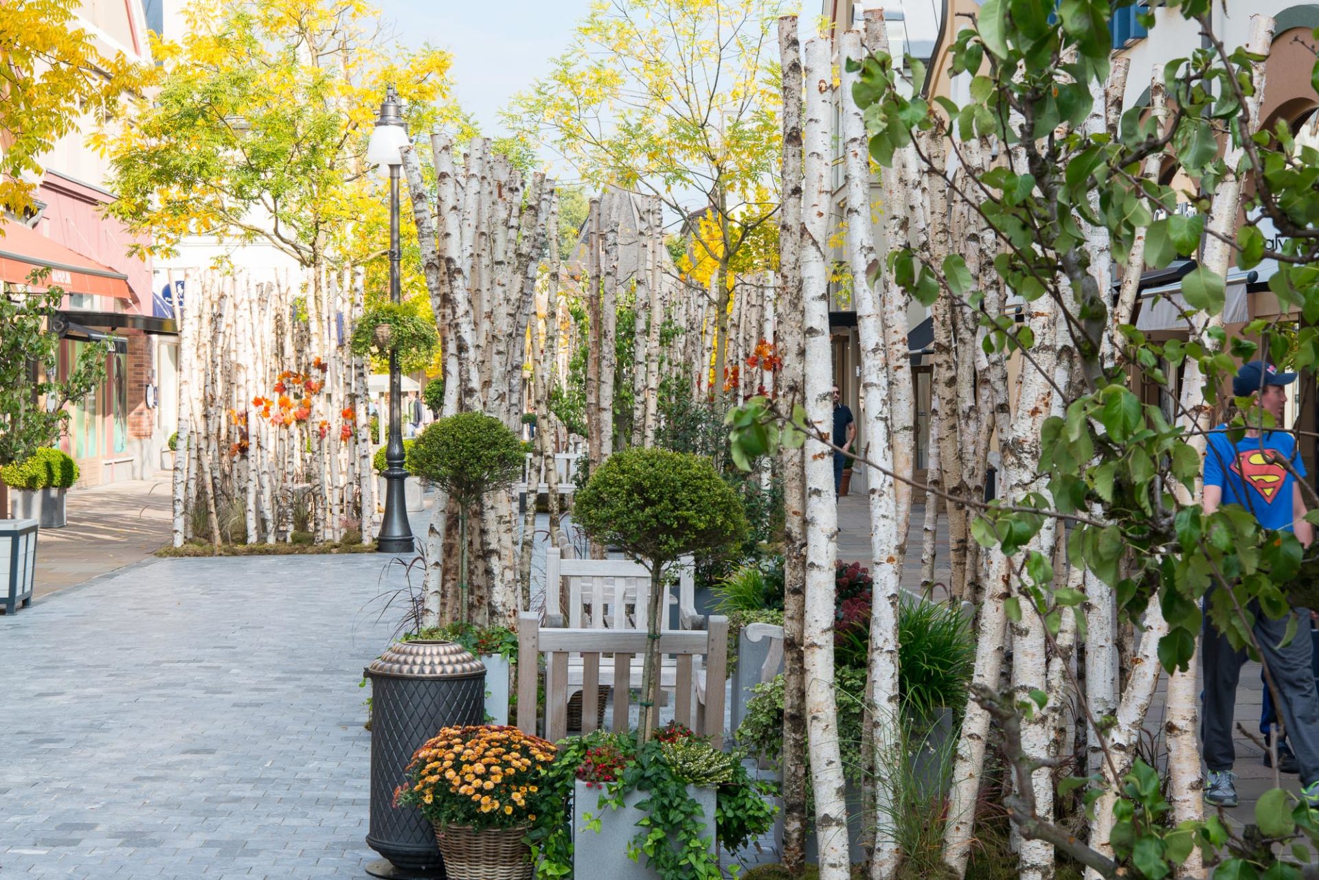 Mallification: The Vengeful Return of the Mall in the 21st Century