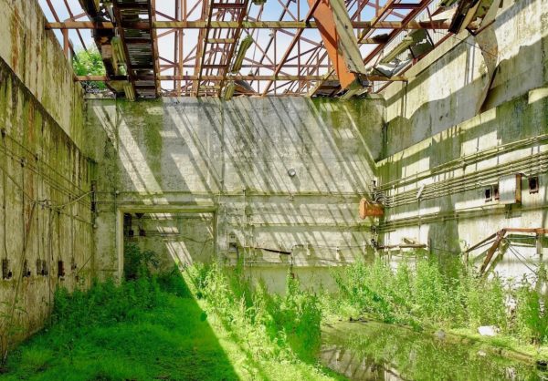 42948012832_062d4a6c7e_k (3)