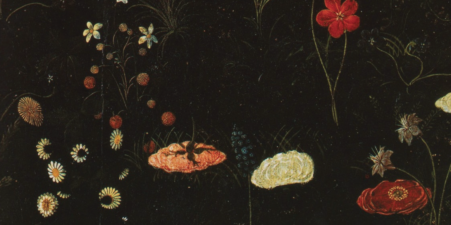 Stories on Earth: A Collective Voice for the Human and Non-Human