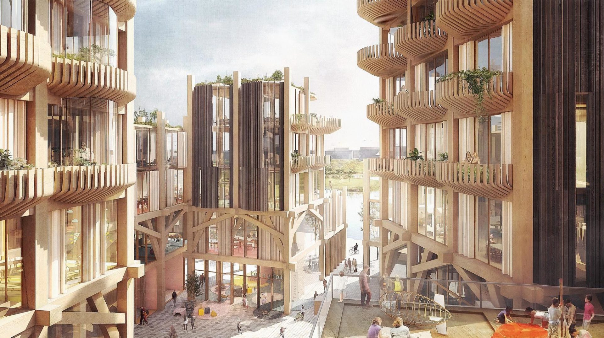 Mass Timber in the Age of Mass Extinction