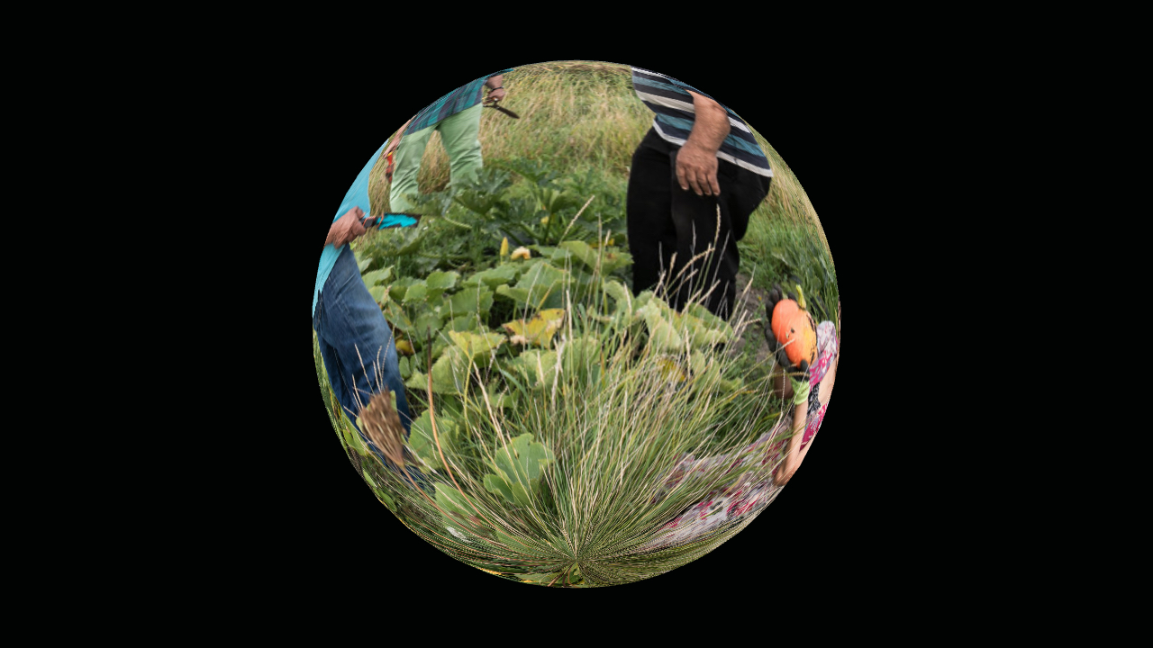 FA Situation #6: Witnessing Lutkemeer (Amsterdam)