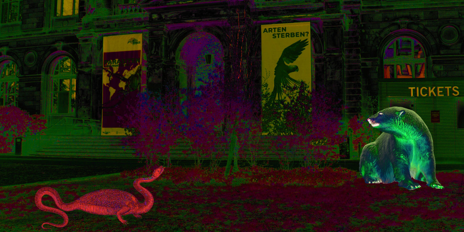 Stories on Earth: Challenging the Human/Non-Human Dichotomy