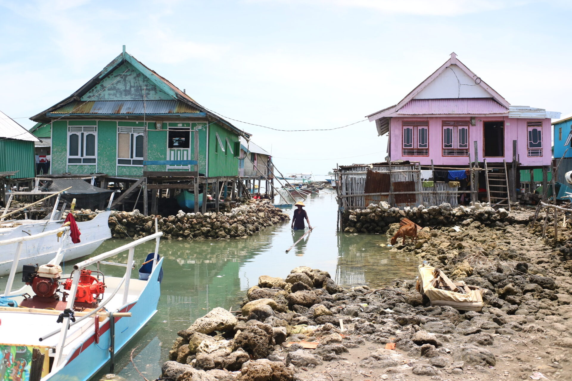 Lahan Becek:  Beyond Terraformation, Towards Wet Lands of Opportunity