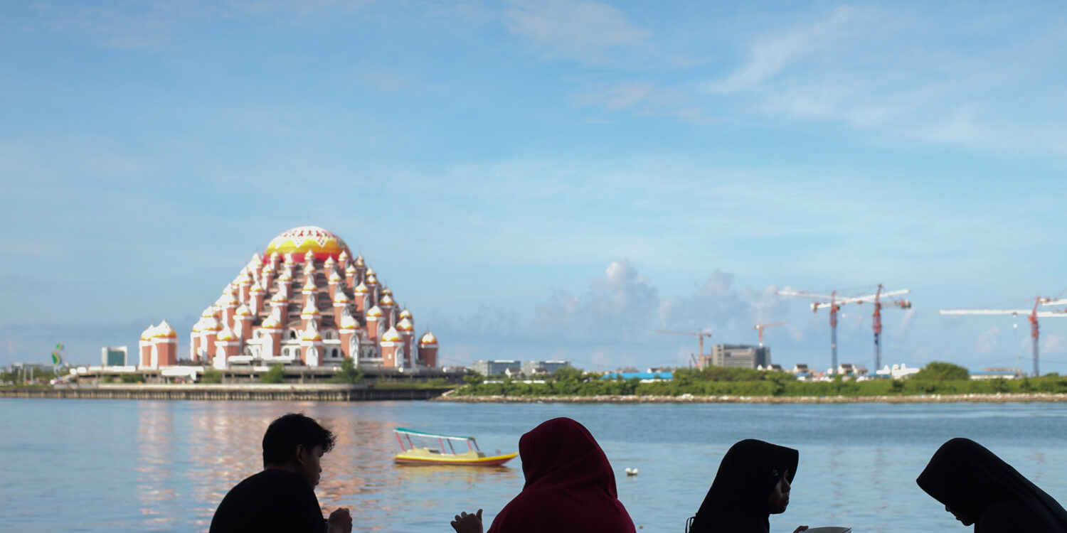 Lahan Becek:  Beyond Terraformation, Towards Wet Lands of Opportunity