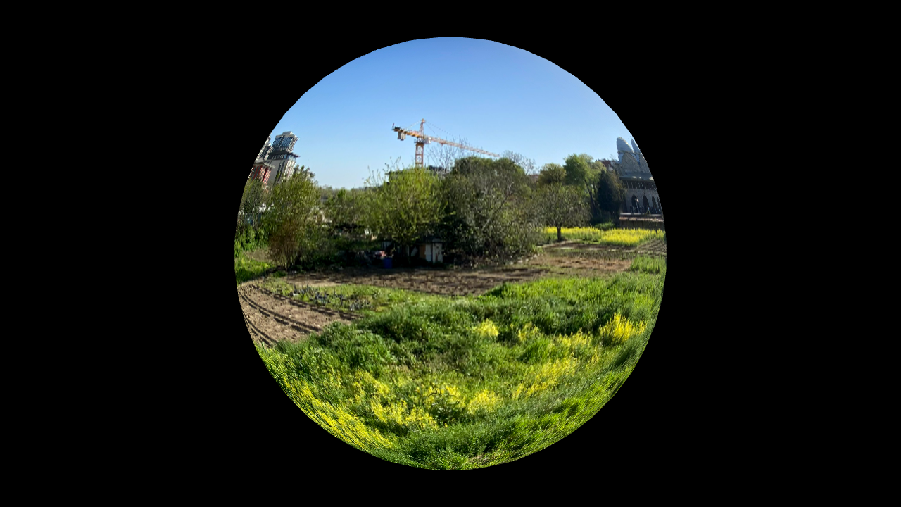 FA Situation #14: Farming Food Futures (Istanbul)