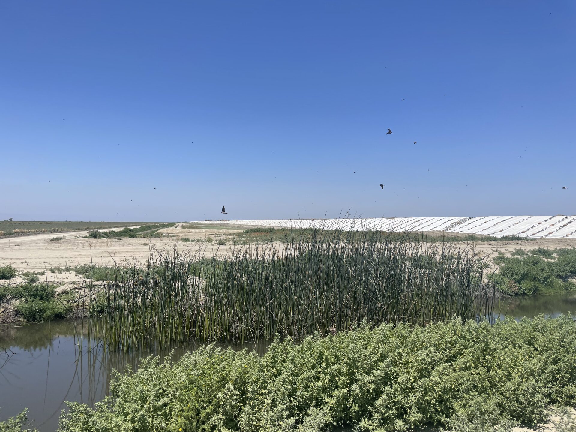 What the Struggle Around California’s Hidden Lake Says About the Climate Crisis