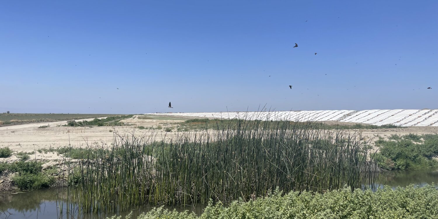 What the Struggle Around California’s Hidden Lake Says About the Climate Crisis