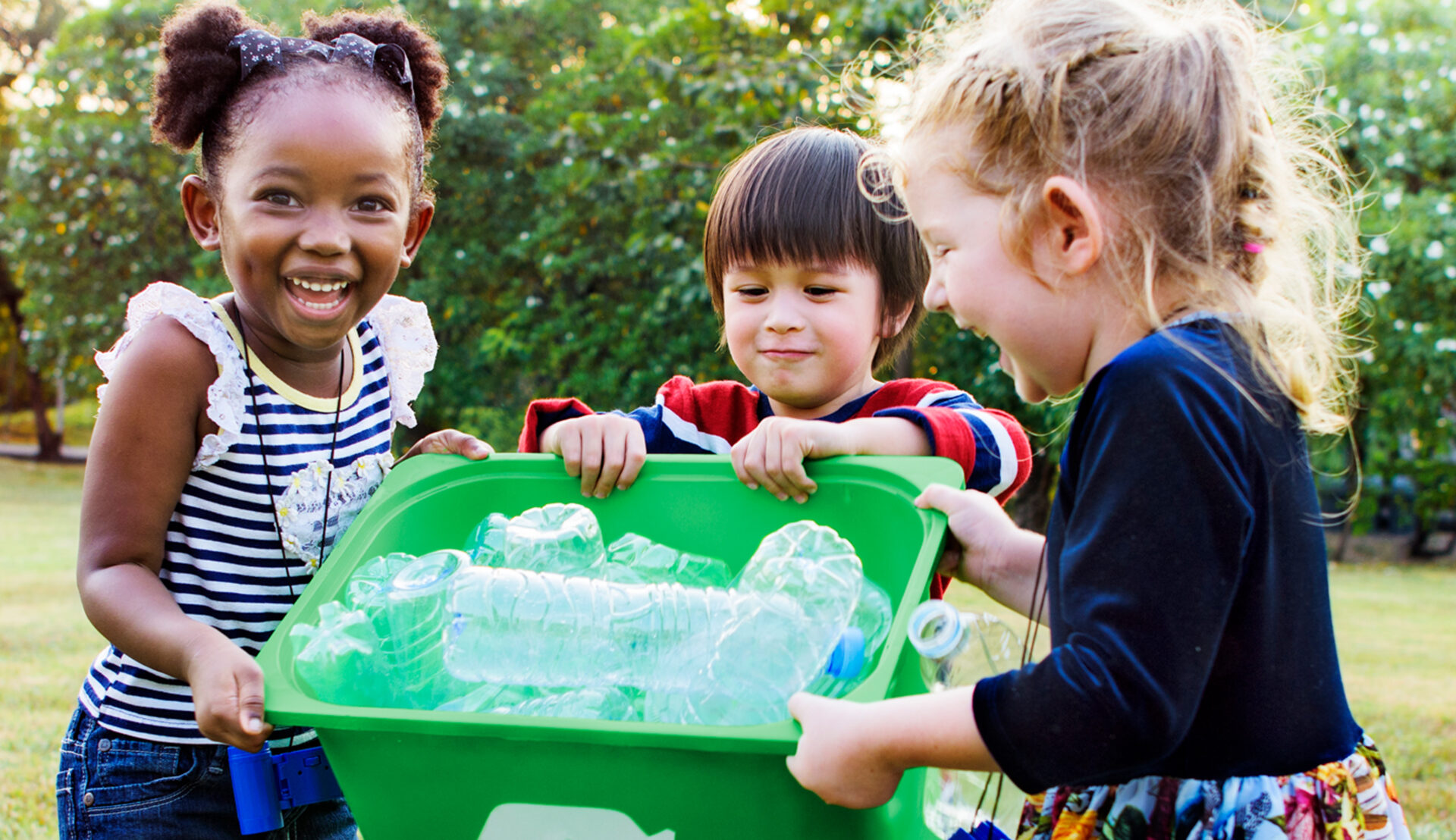 The Petrocracy Underfoot