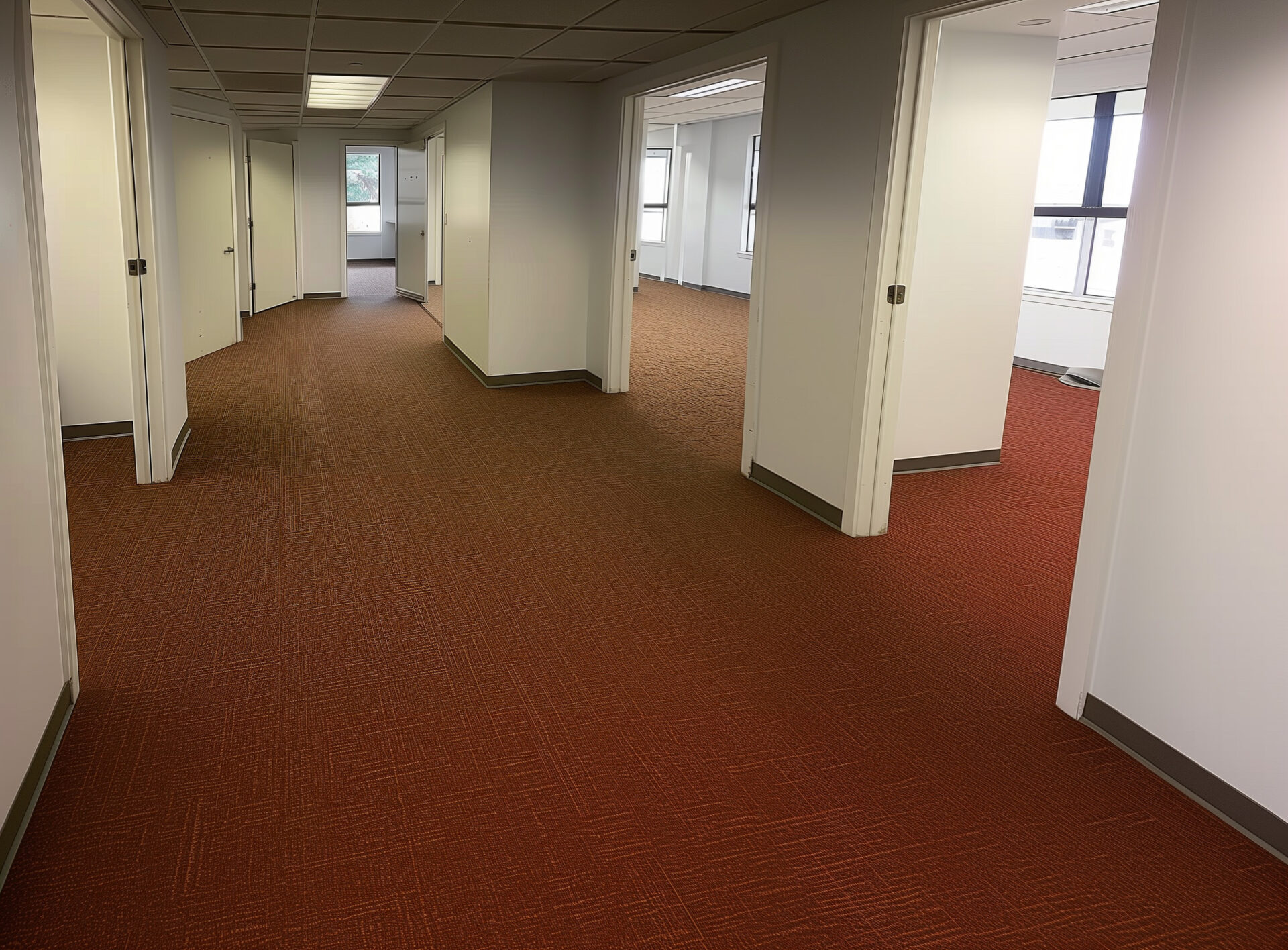 The Petrocracy Underfoot