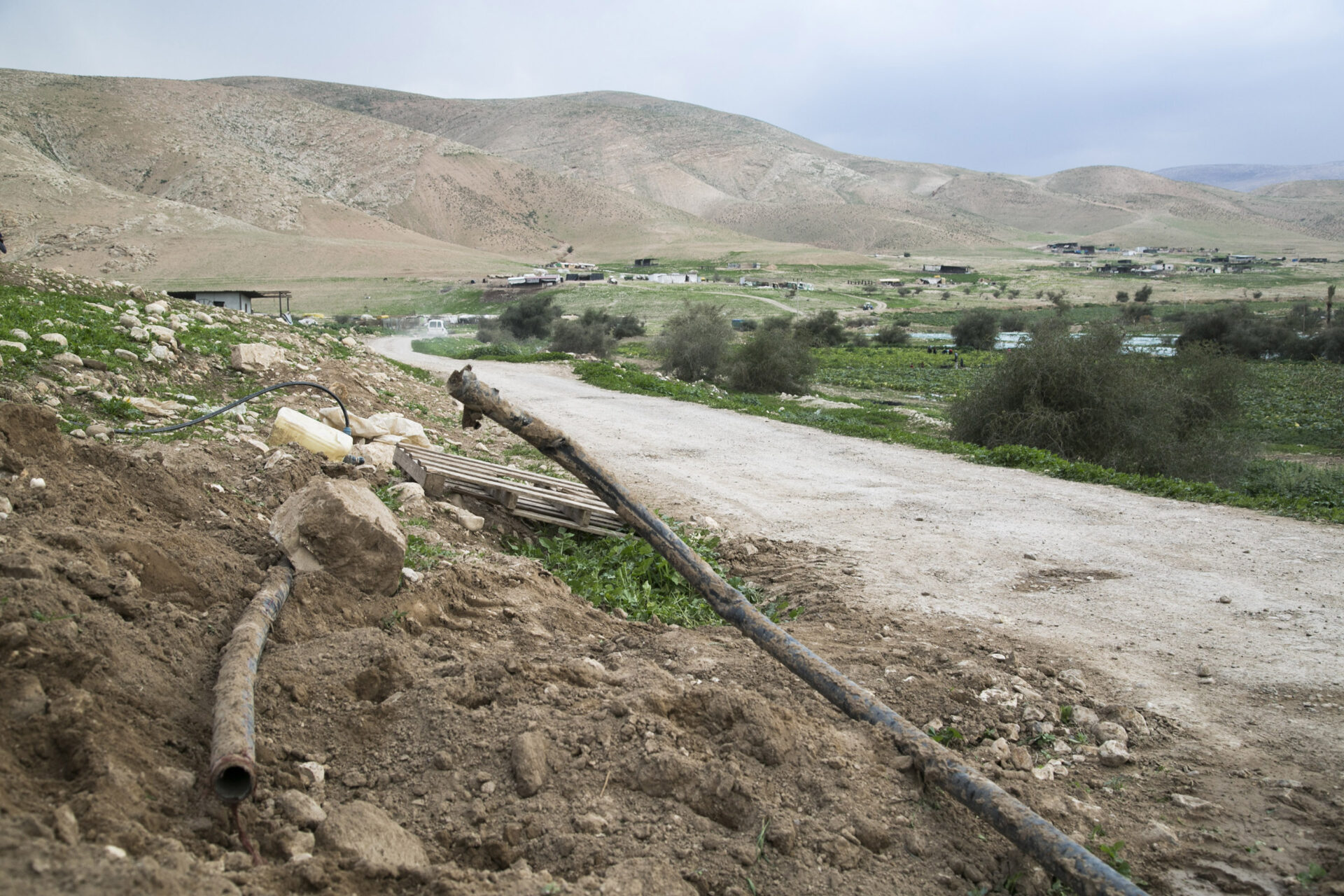 Systematic Thirst: An Interview with Muna Dajani