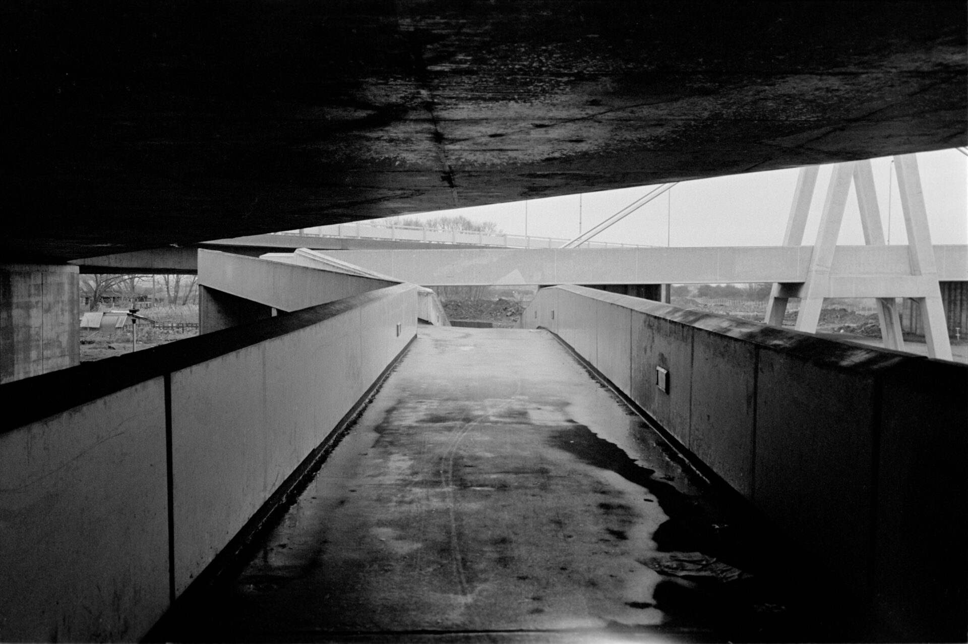 Between Architectural Monstrosity and Speculative Utopia