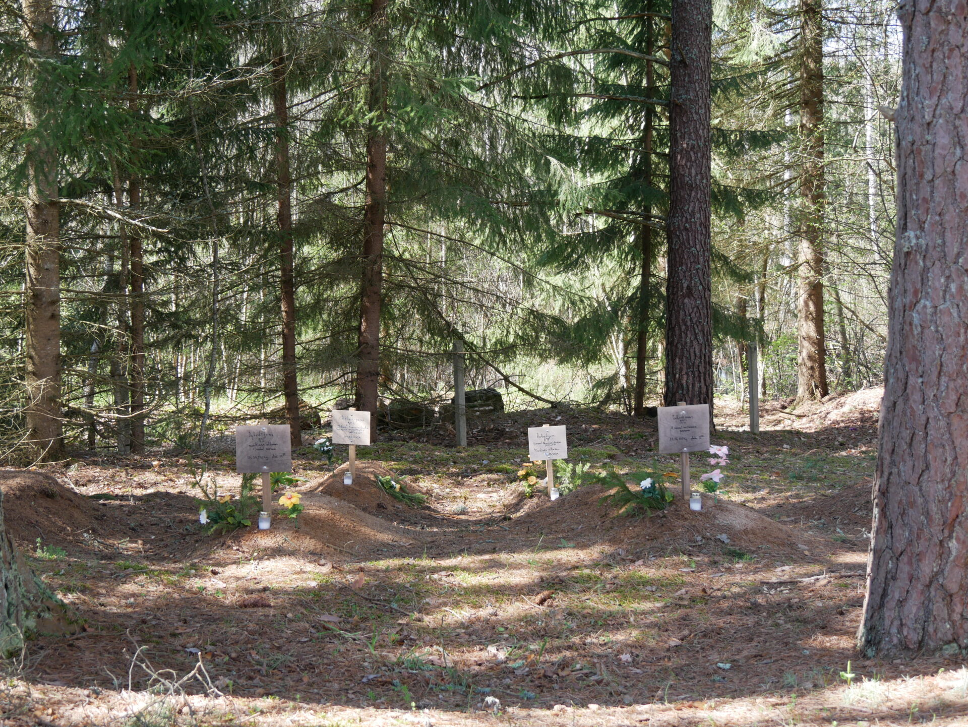Lives Fragmented and Pushed Back at the Latvian Border